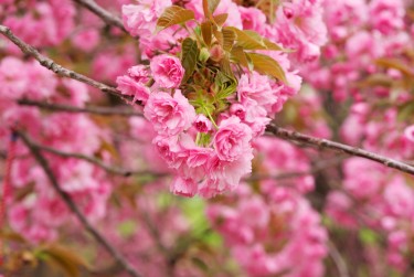 上海浦东区5线下个人借款平台一站式服务，轻松解决资金难题