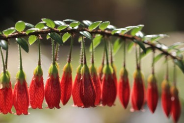 上海浦东区5零用贷短借：轻松解决临时资金需求