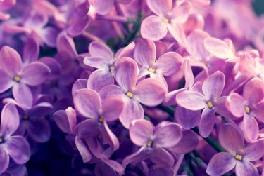 上海浦东区5企业急用钱贷款攻略：快速融资解燃眉之急